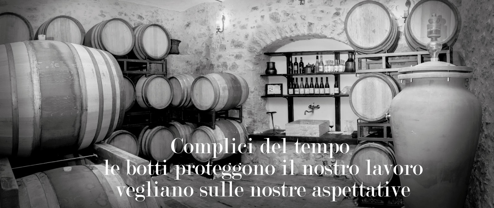 cantina vini